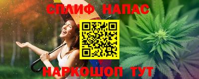 гидра Будённовск