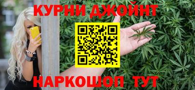 гидра Будённовск