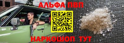 гидра Будённовск