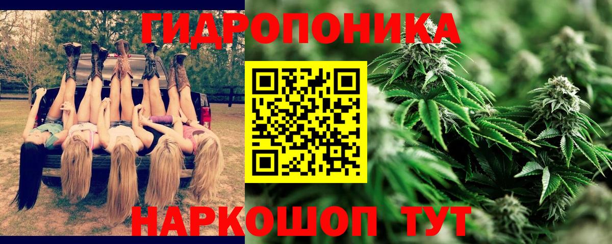 МАРИХУАНА Amnesia  Вход с VPN  Бошки марихуана SATIVA & INDICA  Мичуринск  Бошки марихуана Amnesia 